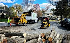 Best Aeration Services  in Weston, NJ