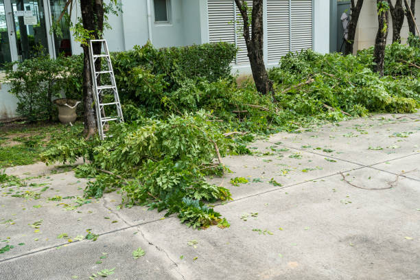 Best Tree Mulching  in Weston, NJ