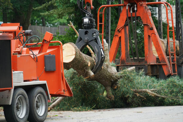 Best Weed Control  in Weston, NJ